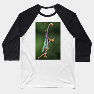 Full Stretch Baseball T-Shirt